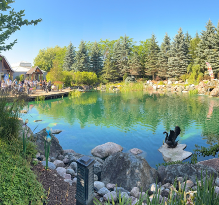 Campaign Celebration 7.17.2025