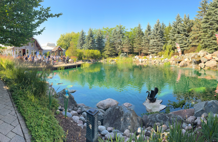 Campaign Celebration 7.17.2025