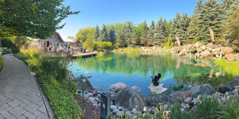 Campaign Celebration 7.17.2025